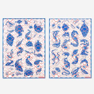 Noordzeevis –COMBODEAL–